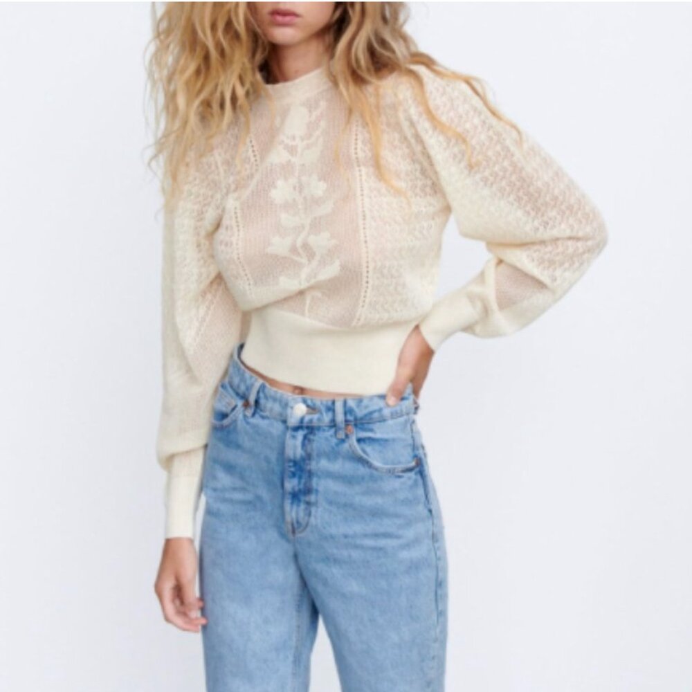 Zara Pointelle knit top